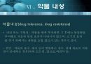 항균요법  28페이지