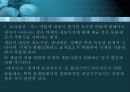 항균요법  29페이지