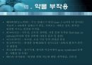 항균요법  31페이지