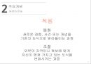 인지이론 16페이지