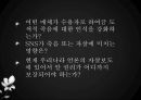 죽음과 자살 30페이지