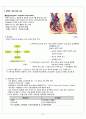 성인간호학 응급실 울혈성 심부전 CSF CASE STUYDY 3페이지