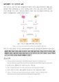 샤가프의 DNA 구조 실험 - 일반생물학 A+레포트 2페이지