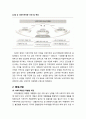 [지역발전론] 낙후지역 균형발전을 위한 차기정부 과제(비전 및 목표, 중점사업을 중심으로) 3페이지