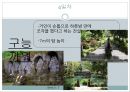 찬느 분타르의 섬, 발리 13페이지
