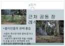 찬느 분타르의 섬, 발리 16페이지