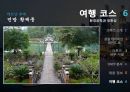 크루즈 여행- Royal Caribbean Cruises 33페이지