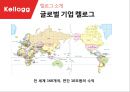켈로그 기업분석과 켈로그 글로벌마케팅(인도) 전략사례분석과 켈로그 향후전망분석 PPT 11페이지