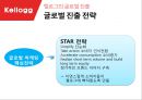 켈로그 기업분석과 켈로그 글로벌마케팅(인도) 전략사례분석과 켈로그 향후전망분석 PPT 12페이지