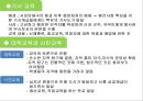 교육의 역사적 기초  28페이지