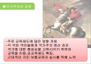 교육의 역사적 기초  37페이지