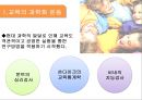 교육의 역사적 기초  40페이지
