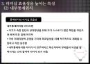 리더의 자질과 주요 특성 20페이지