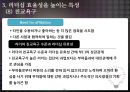 리더의 자질과 주요 특성 26페이지
