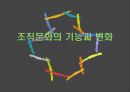 조직문화의 기능과 변화 1페이지