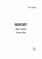  평화와 갈등해결 - 정보화의 평화 1페이지