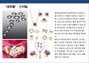 디자인 트렌드[Design Trend]의 유형화 구축  (디자인 유형화) 5페이지