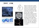 디자인 트렌드[Design Trend]의 유형화 구축  (디자인 유형화) 8페이지