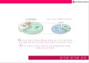 LG전자 인도 진출성공 사례분석[현지화 전략중심}  [LG전자 인도 진출] 34페이지