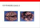 뇌 • 심혈관계질환의 이해 및 예방 9페이지