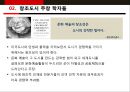 창조도시정책 을 통해 본 등장배경문화예술정책의 통합적 기능과 확장 & 아시아 문화 중심도시 사업 광주 [GWANGJU] 5페이지