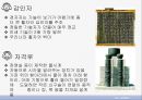 세종대왕의 업적을 문화,과학,국방으로 나눠서 알아보자 12페이지