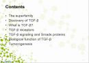 transforming growth factor beta 2페이지