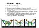 transforming growth factor beta 6페이지