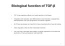 transforming growth factor beta 9페이지