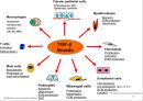 transforming growth factor beta 10페이지
