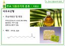 식용유지 22페이지