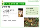 식용유지 28페이지