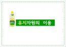 식용유지 29페이지