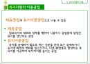 식용유지 31페이지