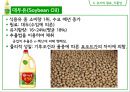 식용유지 36페이지