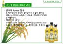 식용유지 44페이지
