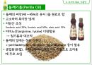 식용유지 51페이지
