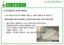 식용유지 57페이지