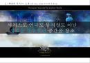 태양의 서커스 성공 전략[블루오션 전략]사례분석  (블루오션 사례분석) 7페이지