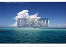 태양의 서커스 성공 전략[블루오션 전략]사례분석  (블루오션 사례분석) 11페이지
