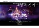 태양의 서커스 성공 전략[블루오션 전략]사례분석  (블루오션 사례분석) 20페이지