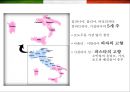 이탈리아 (Italy) 음식에 대한 이해  (이탈리아 음식문화) 28페이지
