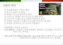 이탈리아 (Italy) 음식에 대한 이해  (이탈리아 음식문화) 38페이지