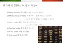 이탈리아 (Italy) 음식에 대한 이해  (이탈리아 음식문화) 40페이지
