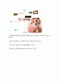 [베스킨라빈스 마케팅사례연구] 배스킨라빈스 기업분석과 성공요인분석및 배스킨라빈스 마케팅 SWOT,STP,4P전략분석과 배스킨라빈스 향후전략 제안 9페이지