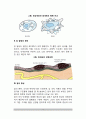 [암의 개념] 암의 정의와 증상, 암 발생의 원인(요인) 4페이지
