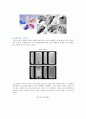 [유니버셜 디자인 원리] 유니버셜 디자인의 사례 ; 유니버셜 디자인의 개념과 원리 분석 18페이지