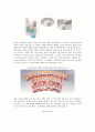 유니버셜 디자인의 사례 분석 ; 유니버셜 디자인의 정의와 원칙 : 유니버설디자인사례 14페이지