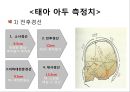 분만요소,단계,과정,분만 후 산모간호A++++++ 7페이지