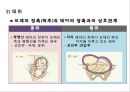 분만요소,단계,과정,분만 후 산모간호A++++++ 9페이지